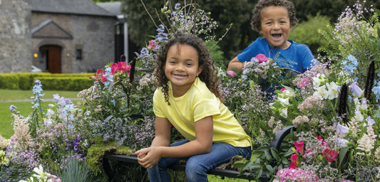 How To Create A More Biodiverse Irish Garden This Spring