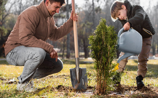 A Month-by-Month Spring Checklist For Your Irish Garden, Backyard and Balcony