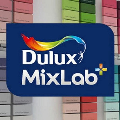 DULUX PAINT MIXING