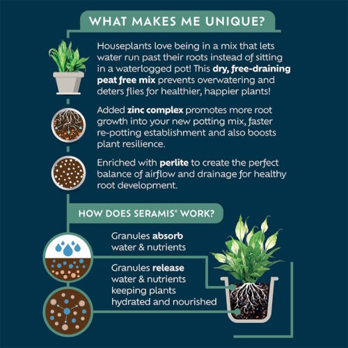 WESTLAND HOUSEPLANT POTTING MIX 10L