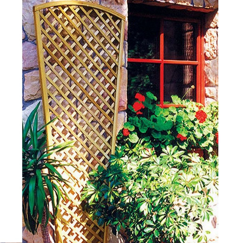 ENGLISH WALL TRELLIS