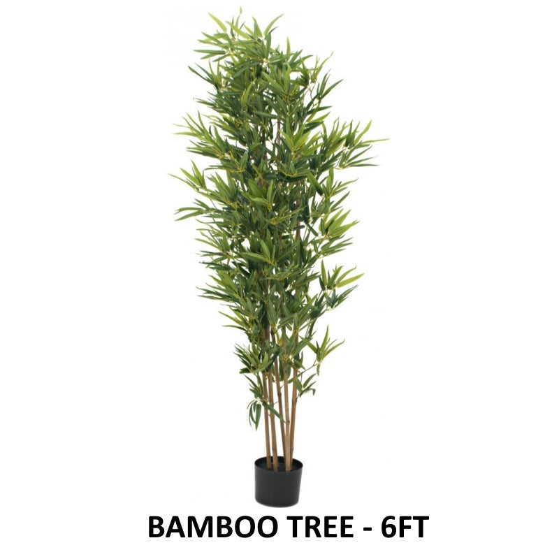 BAMBOO