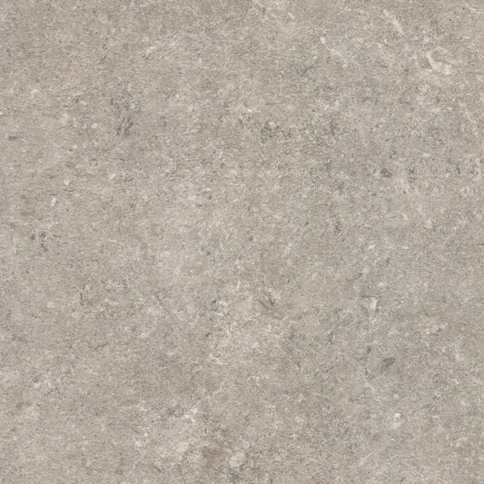 Biscuit Grey Porcelain - Per m2
