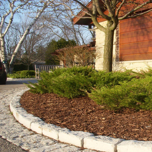 Decorative Wood Mulch - XL Bulk Bag