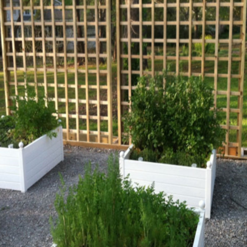 Heavy Square Trellis - 1.8x0.3m