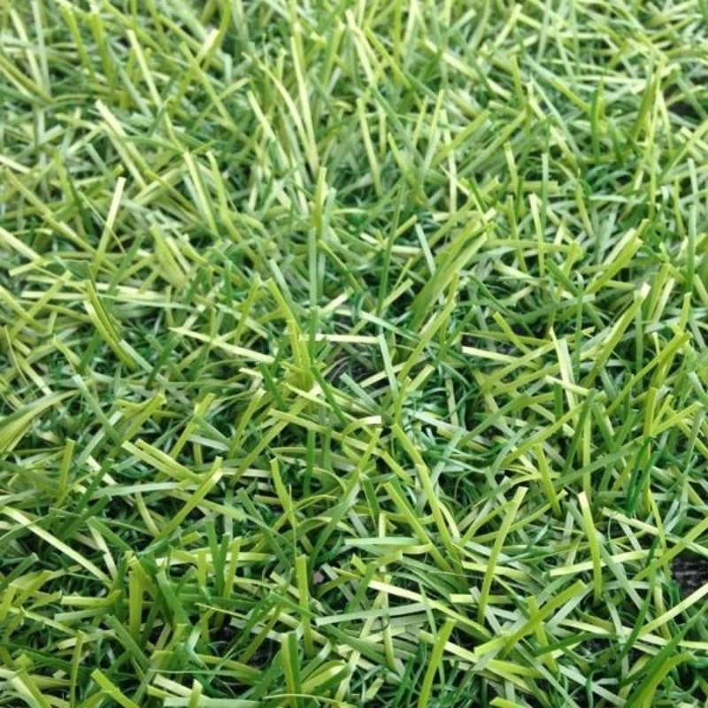 ARTIFICIAL GRASS CAPRI - 28MM X 4M X 1M