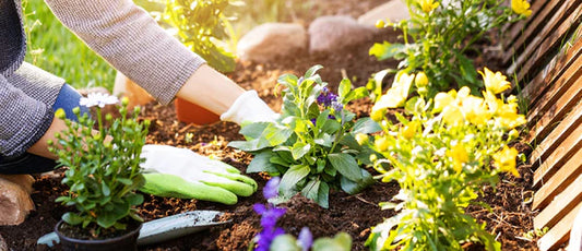 Essential Chores to help you say Goodbye to Summer & Hello to an Autumn-Ready Home and Garden