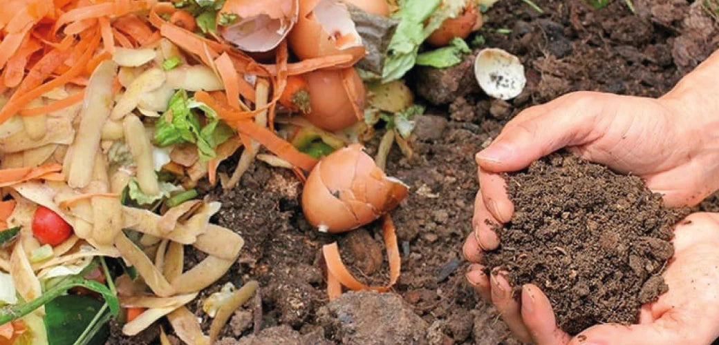 Keep Calm and Compost Naturally at Home - Why It’s Worth It & How to Get Started.