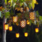 Cool Flame Solar String Lights 10pk