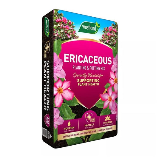 Westland Ericaceous Planting & Potting Mix