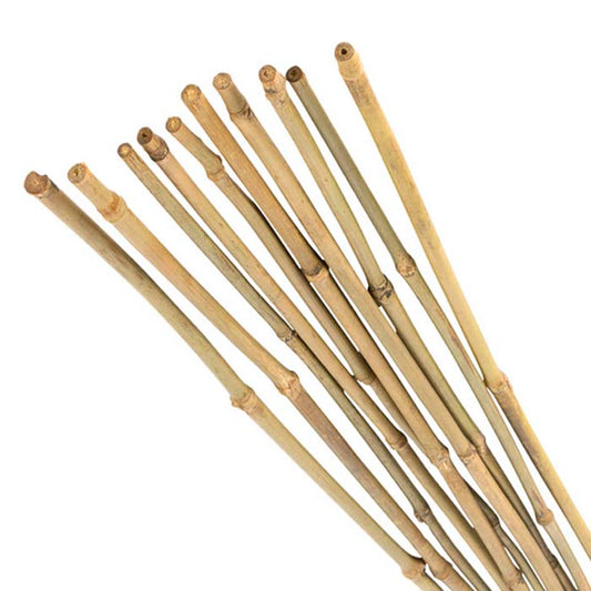 1.8MT BAMBOO CANES PACK OF 10