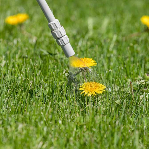 DICOPHAR LAWN WEED KILLER 1L