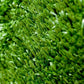 ARTIFICIAL GRASS BOTANIC - 12MM X 4M X 2M
