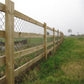Square Treated Fence Post 75mm - 2.4m