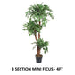 ficus-tree-3-tier-wholesale